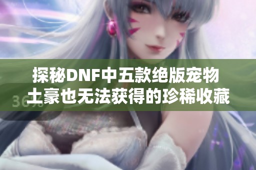 探秘DNF中五款绝版宠物 土豪也无法获得的珍稀收藏