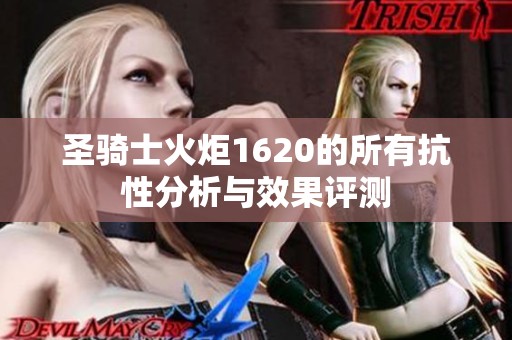 圣骑士火炬1620的所有抗性分析与效果评测