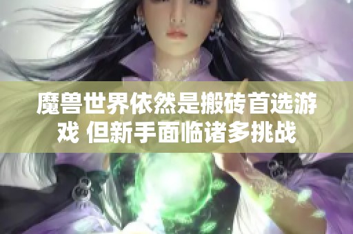 魔兽世界依然是搬砖首选游戏 但新手面临诸多挑战