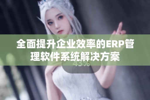 全面提升企业效率的ERP管理软件系统解决方案