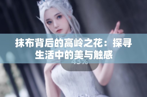 抹布背后的高岭之花：探寻生活中的美与触感