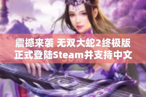 震撼来袭 无双大蛇2终极版正式登陆Steam并支持中文