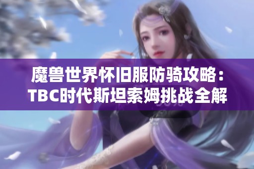 魔兽世界怀旧服防骑攻略：TBC时代斯坦索姆挑战全解析