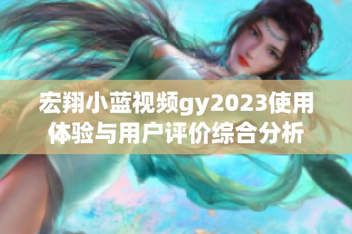 宏翔小蓝视频gy2023使用体验与用户评价综合分析