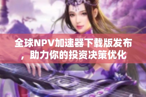 全球NPV加速器下载版发布，助力你的投资决策优化