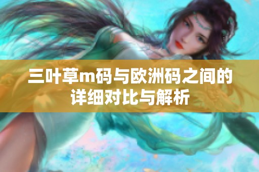 三叶草m码与欧洲码之间的详细对比与解析