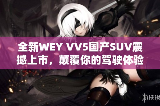 全新WEY VV5国产SUV震撼上市，颠覆你的驾驶体验