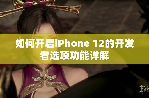 如何开启iPhone 12的开发者选项功能详解