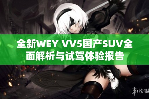 全新WEY VV5国产SUV全面解析与试驾体验报告