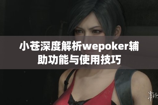 小苍深度解析wepoker辅助功能与使用技巧