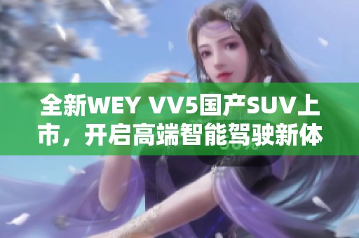 全新WEY VV5国产SUV上市，开启高端智能驾驶新体验