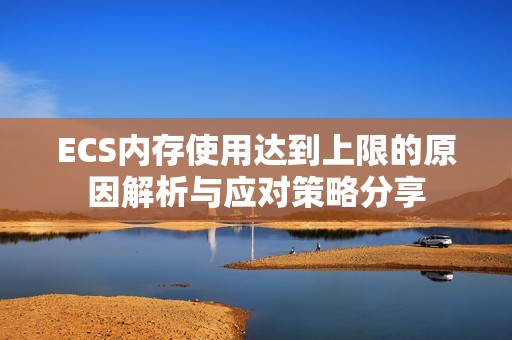 ECS内存使用达到上限的原因解析与应对策略分享