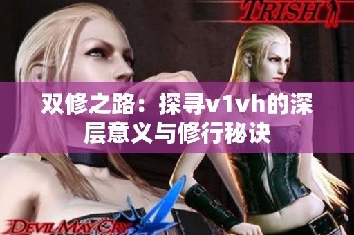 双修之路：探寻v1vh的深层意义与修行秘诀