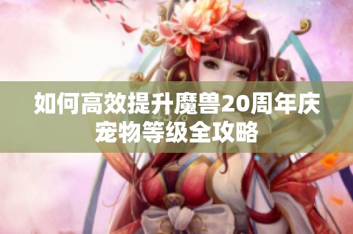 如何高效提升魔兽20周年庆宠物等级全攻略