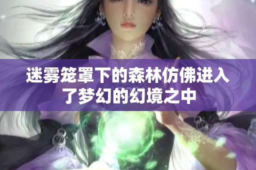 迷雾笼罩下的森林仿佛进入了梦幻的幻境之中