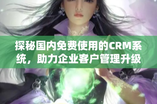 探秘国内免费使用的CRM系统，助力企业客户管理升级