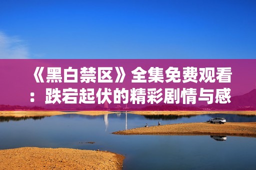 《黑白禁区》全集免费观看：跌宕起伏的精彩剧情与感人结局解析