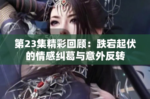 第23集精彩回顾：跌宕起伏的情感纠葛与意外反转